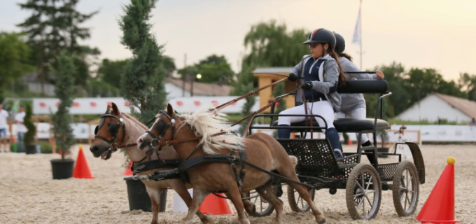 Competiția ecvestră Salina Equines Horse Trophy, la a doua ediție