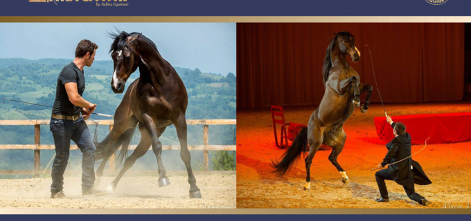 Îmblânzitorul de cai, Miron Bococi, va face spectacol joi, 29 iunie, la ZARACATAN